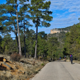 Mariposa_Conan_Tour_2024-175