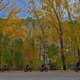 Mariposa_Conan_Tour_2024-185