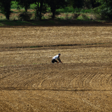 Mariposa_Cycling_Tour_2025-007