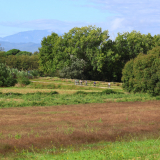 Mariposa_Cycling_Tour_2025-010