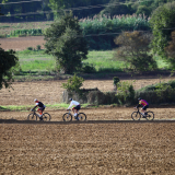 Mariposa_Cycling_Tour_2025-026