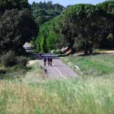 Mariposa_Cycling_Tour_2025-034