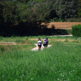 Mariposa_Cycling_Tour_2025-050