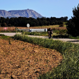 Mariposa_Cycling_Tour_2025-052