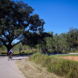 Mariposa_Cycling_Tour_2025-056