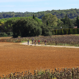 Mariposa_Cycling_Tour_2025-076