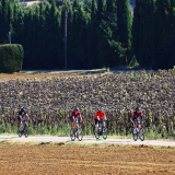 Mariposa_Cycling_Tour_2025-077