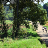 Mariposa_Cycling_Tour_2025-095