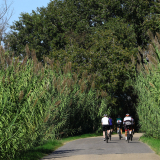 Mariposa_Cycling_Tour_2025-103