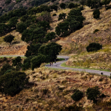 Mariposa_Cycling_Tour_2025-113