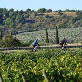 Mariposa_Cycling_Tour_2025-156