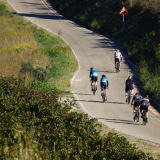 Mariposa_Cycling_Tour_2025-158