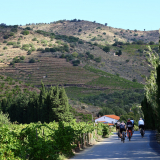 Mariposa_Cycling_Tour_2025-165