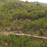 Mariposa_Priorat_wine_Tour-2022-Bikecat_Cycling_Tours-019