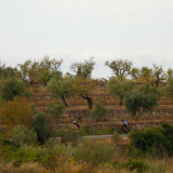 Mariposa_Priorat_wine_Tour-2022-Bikecat_Cycling_Tours-025