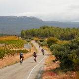 Mariposa_Priorat_wine_Tour-2022-Bikecat_Cycling_Tours-026