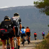 Mariposa_Priorat_wine_Tour-2022-Bikecat_Cycling_Tours-027