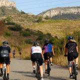 Mariposa_Priorat_wine_Tour-2022-Bikecat_Cycling_Tours-040