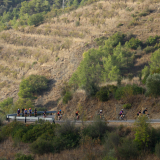 Mariposa_Priorat_wine_Tour-2022-Bikecat_Cycling_Tours-044