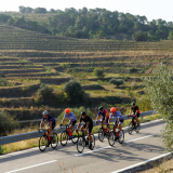 Mariposa_Priorat_wine_Tour-2022-Bikecat_Cycling_Tours-055