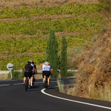 Mariposa_Priorat_wine_Tour-2022-Bikecat_Cycling_Tours-064