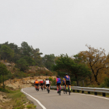 Mariposa_Priorat_wine_Tour-2022-Bikecat_Cycling_Tours-113