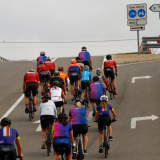 Mariposa_Priorat_wine_Tour-2022-Bikecat_Cycling_Tours-117
