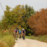 Mariposa_Priorat_wine_Tour-2022-Bikecat_Cycling_Tours-118