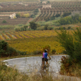 Mariposa_Priorat_wine_Tour-2022-Bikecat_Cycling_Tours-128