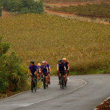 Mariposa_Priorat_wine_Tour-2022-Bikecat_Cycling_Tours-129