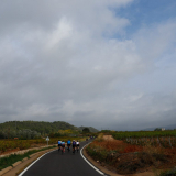 Mariposa_Priorat_wine_Tour-2022-Bikecat_Cycling_Tours-138