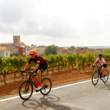 Mariposa_Priorat_wine_Tour-2022-Bikecat_Cycling_Tours-142