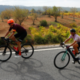 Mariposa_Priorat_wine_Tour-2022-Bikecat_Cycling_Tours-149