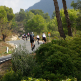 Mariposa_Priorat_wine_Tour-2022-Bikecat_Cycling_Tours-154