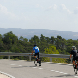 Mariposa_Priorat_wine_Tour-2022-Bikecat_Cycling_Tours-171