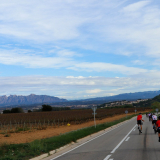 Mariposa_Priorat_wine_Tour-2022-Bikecat_Cycling_Tours-187