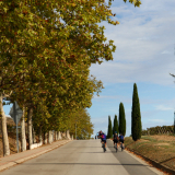 Mariposa_Priorat_wine_Tour-2022-Bikecat_Cycling_Tours-190