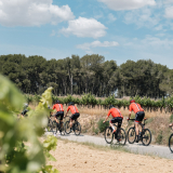 Marks_Priorat_Cycling_Tour-2023-Bikecat_Cycling_Tours-057