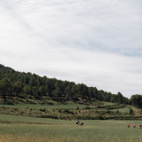 Marks_Priorat_Cycling_Tour-2023-Bikecat_Cycling_Tours-095