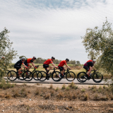 Marks_Priorat_Cycling_Tour-2023-Bikecat_Cycling_Tours-101