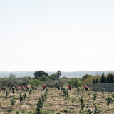 Marks_Priorat_Cycling_Tour-2023-Bikecat_Cycling_Tours-115