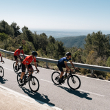 Marks_Priorat_Cycling_Tour-2023-Bikecat_Cycling_Tours-124