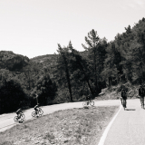 Marks_Priorat_Cycling_Tour-2023-Bikecat_Cycling_Tours-132