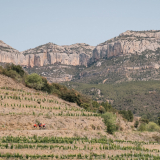 Marks_Priorat_Cycling_Tour-2023-Bikecat_Cycling_Tours-204
