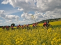 Bikecat-Marks-Tour-of-Catalunya-2019-012