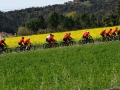 Bikecat-Marks-Tour-of-Catalunya-2019-020