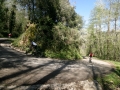 Bikecat-Marks-Tour-of-Catalunya-2019-029
