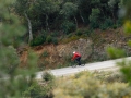 Bikecat-Marks-Tour-of-Catalunya-2019-075
