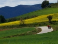 Bikecat-Marks-Tour-of-Catalunya-2019-080