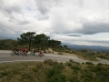 Bikecat-Marks-Tour-of-Catalunya-2019-100